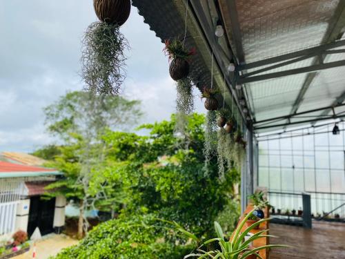 Phòng Giường Đơn 1m6 - Homes 3